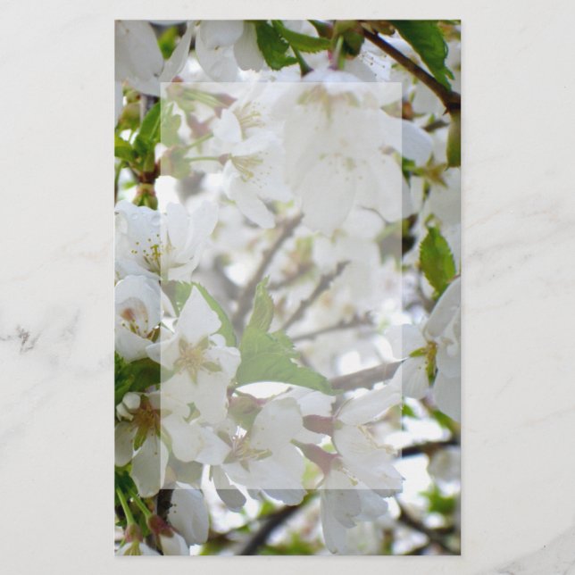 White Blossoms, flowering cherry tree Stationery (Front)