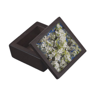 White Blossoms Gift Box