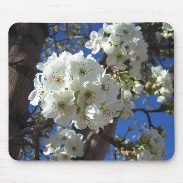 White Blossoms I Ornamental Pear Tree Mouse Pad (Front)