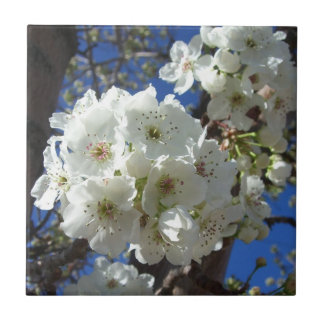 White Blossoms I Ornamental Pear Tree Tile