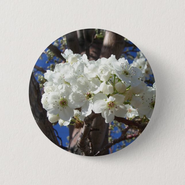 White Blossoms II Spring Flowering Tree 6 Cm Round Badge (Front)