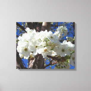 White Blossoms II Spring Flowering Tree Canvas Print