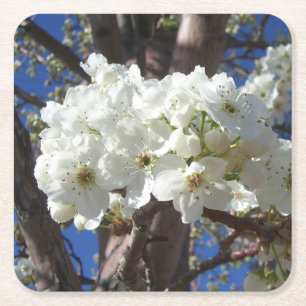 White Blossoms II Spring Flowering Tree Square Paper Coaster