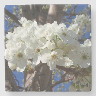 White Blossoms II Spring Flowering Tree Stone Coaster