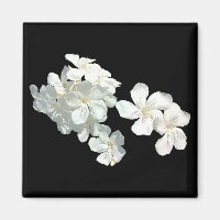 White Blossoms