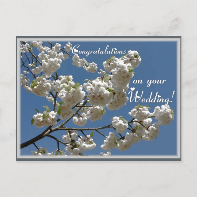 White blossoms postcard (Front)