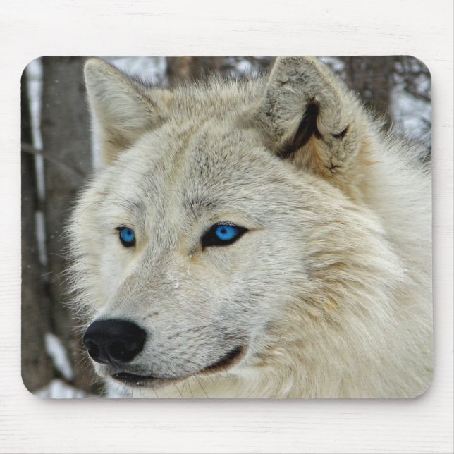 White Blue Eyed Snow Arctic Wolf Mouse Pad (Front)