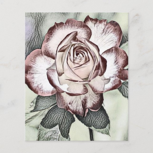 White, blush, red rose Paper Sheet (Front)