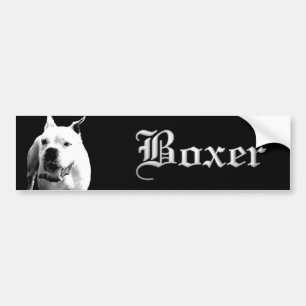 white boxer bumper sticker