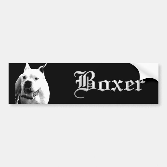 white boxer bumper sticker (Front)
