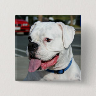 White Boxer button