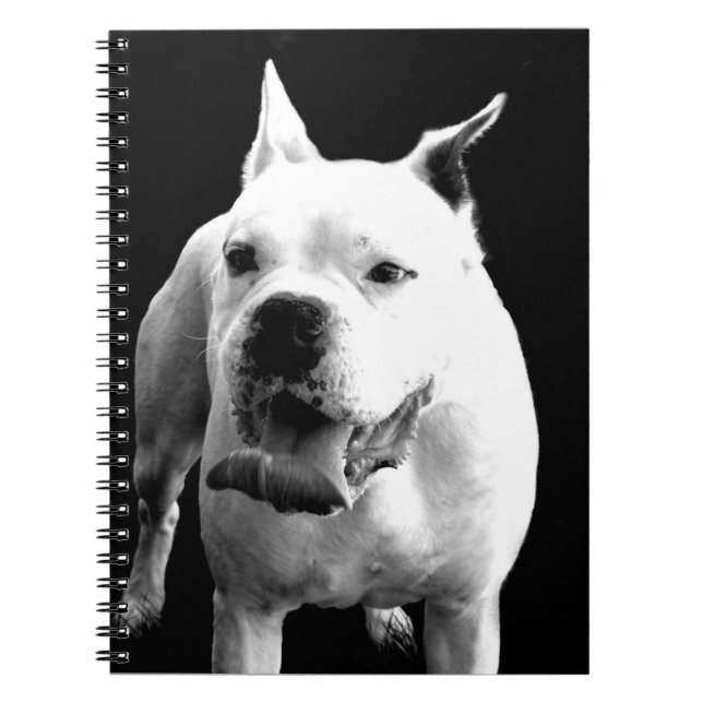 White Boxer dog  spiral notebook (Front)