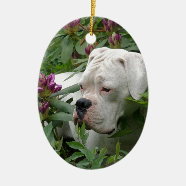 White Boxer in Pink Rhodies Ceramic Tree Decoration (Front)