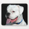 White Boxer mousepad