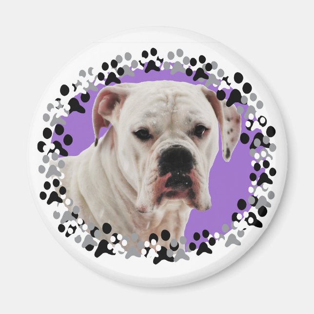 White Boxer Photo Magnet (Front)
