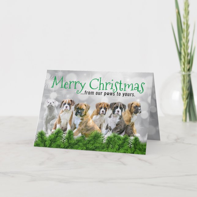 White Boxer Puppies - Merry Christmas Dog Thank You Card (Front)