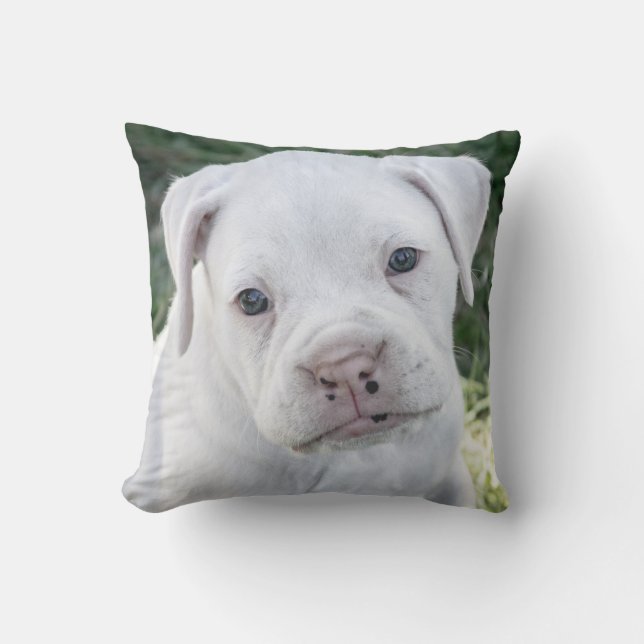 White Boxer Puppy - Custom Photo Cushion (Front)