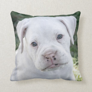 White Boxer Puppy - Custom Photo Cushion
