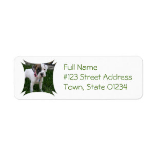 White Boxer Puppy Return Address Label