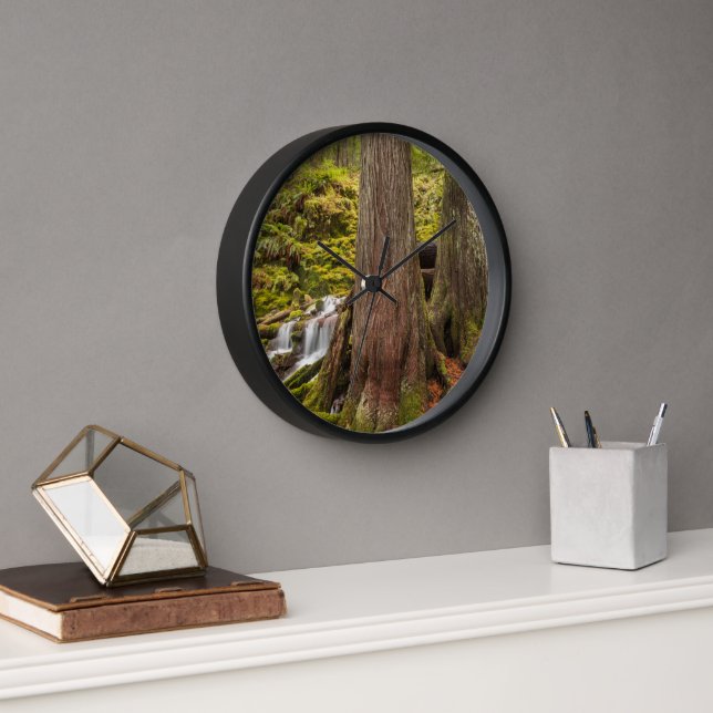 White Branch Falls, Oregon Cascades, Oregon Clock (Office)