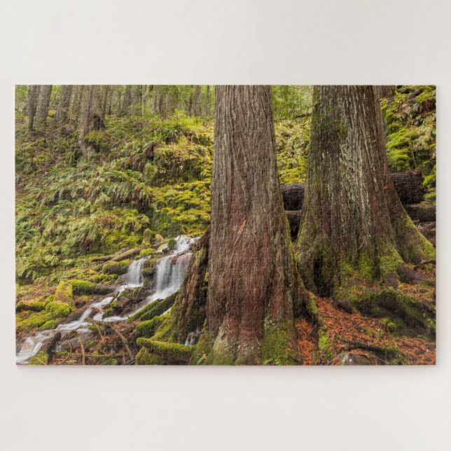 White Branch Falls, Oregon Cascades, Oregon Jigsaw Puzzle (Horizontal)