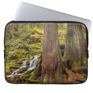 White Branch Falls, Oregon Cascades, Oregon Laptop Sleeve