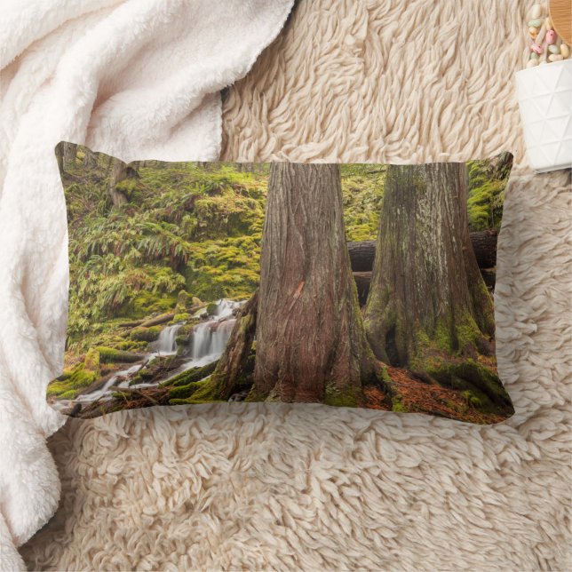 White Branch Falls, Oregon Cascades, Oregon Lumbar Cushion (Blanket)