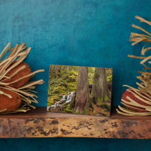 White Branch Falls, Oregon Cascades, Oregon Plaque