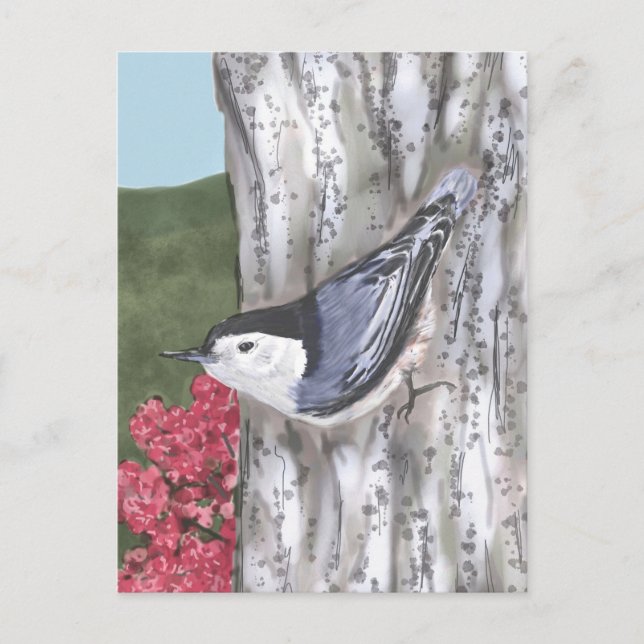 White-Breasted Nuthatch and Pink Flowers Postcard (Front)