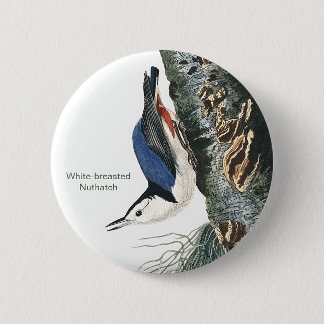 White-breasted Nuthatch, Audubon Bird Fashion 6 Cm Round Badge (Front)