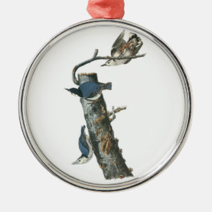 White-breasted Nuthatch by Audubon Metal Tree Decoration