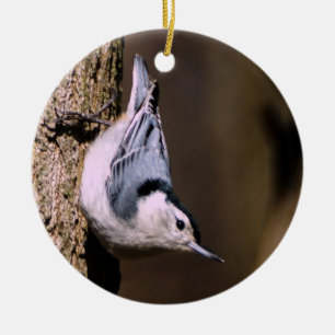 White-Breasted Nuthatch Christmas Ornament