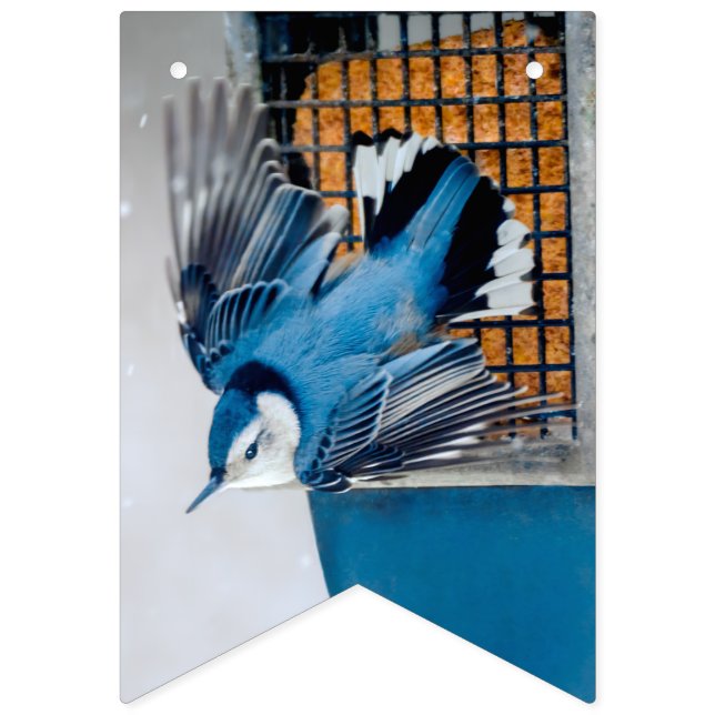 White-Breasted Nuthatch in Snow - Original Photo Bunting (First Flag)