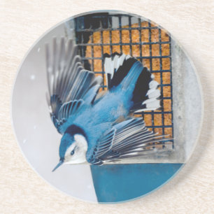 White-Breasted Nuthatch in Snow - Original Photo Coaster