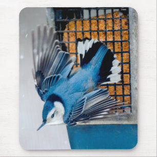 White-Breasted Nuthatch in Snow - Original Photo Mouse Pad