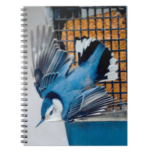White-Breasted Nuthatch in Snow - Original Photo Notebook