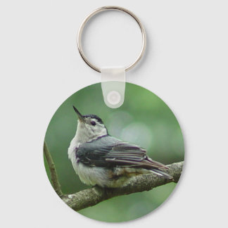 White Breasted Nuthatch Keychain 2