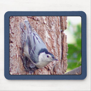 White Breasted Nuthatch Mousepad
