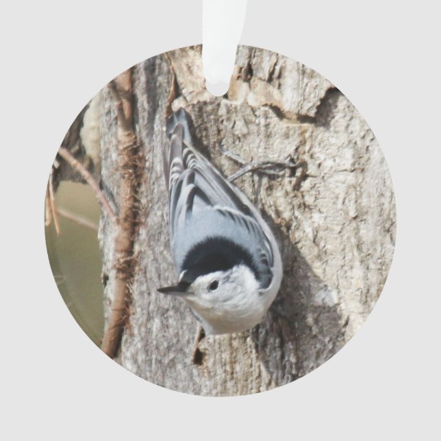 White-breasted Nuthatch Ornament (Front)