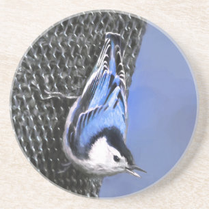 White-Breasted Nuthatch Painting Original Bird Art Coaster