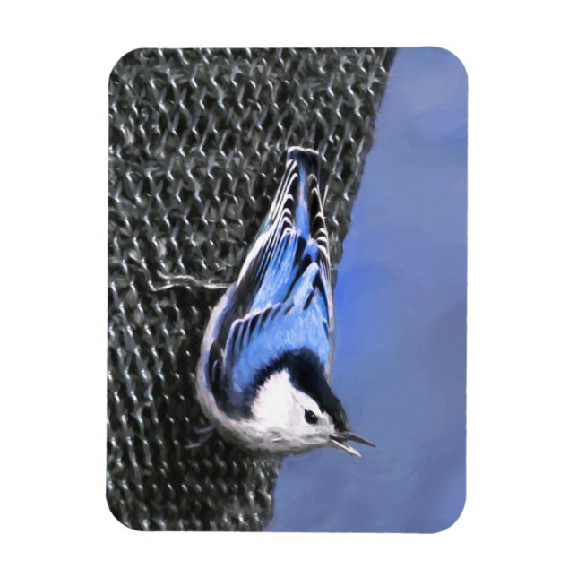 White-Breasted Nuthatch Painting Original Bird Art Magnet (Vertical)
