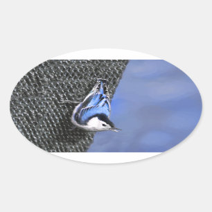 White-Breasted Nuthatch Painting Original Bird Art Oval Sticker