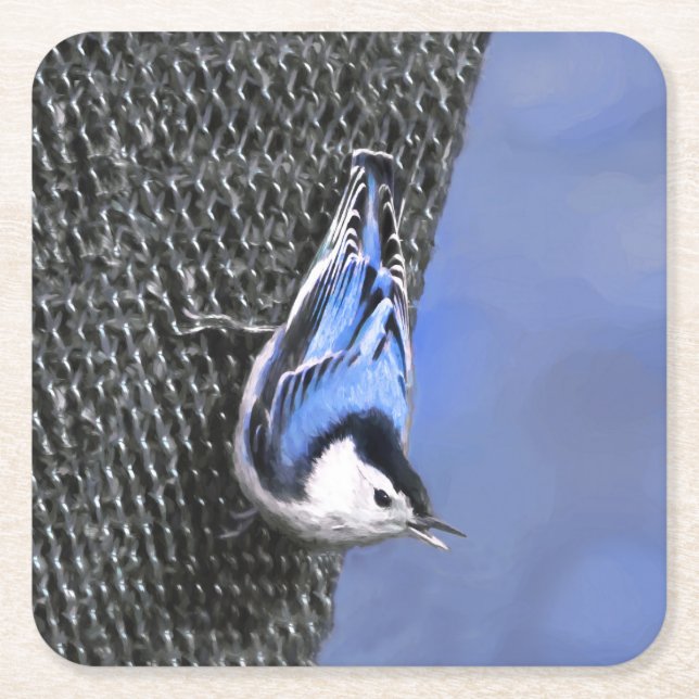 White-Breasted Nuthatch Painting Original Bird Art Square Paper Coaster (Front)