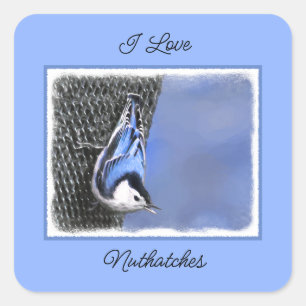 White-Breasted Nuthatch Painting Original Bird Art Square Sticker