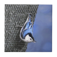 White-Breasted Nuthatch Painting Original Bird Art