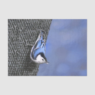 White-Breasted Nuthatch Painting Original Bird Art Tissue Paper