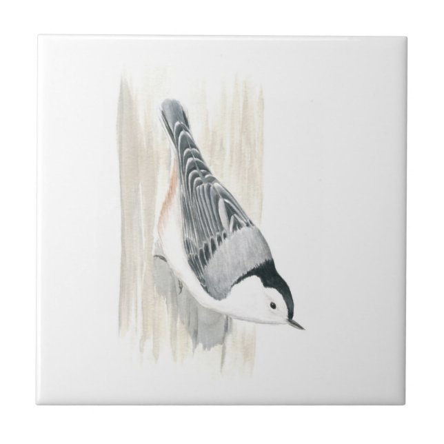 White-breasted Nuthatch Tile (Front)