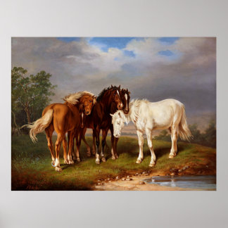 White Brown Caramel Horse Poster