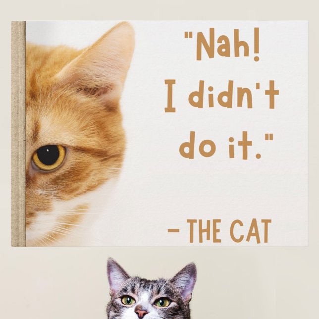 White Brown Funny Cat Meme Relatable Moment Postcard (Creator Uploaded)
