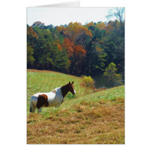 White & Brown horse, Autumn pond